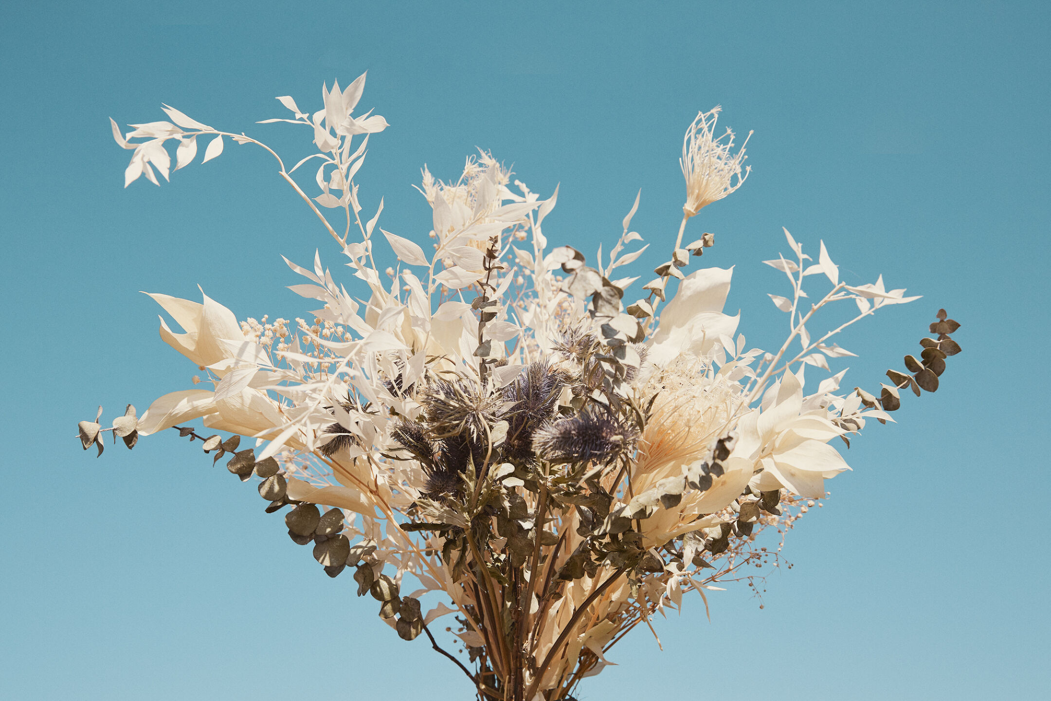 Flower girls, Milk magazine
