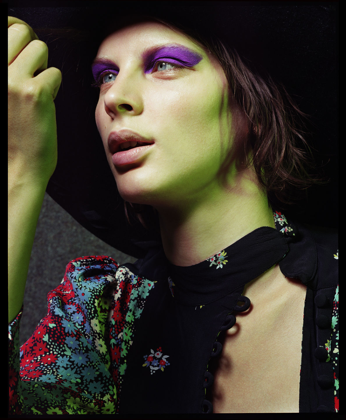 Liz Collins — NUMERO - WHIPPET